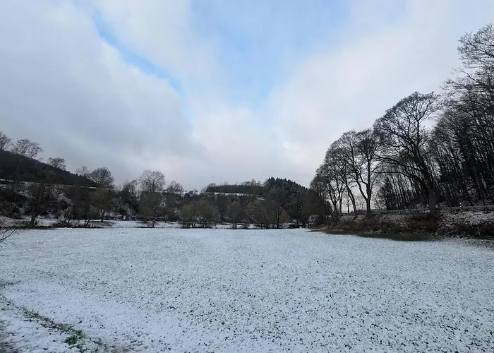 公寓 H1 Mit Sauna 8 Personen 4 Schlafzimmer 温特贝格