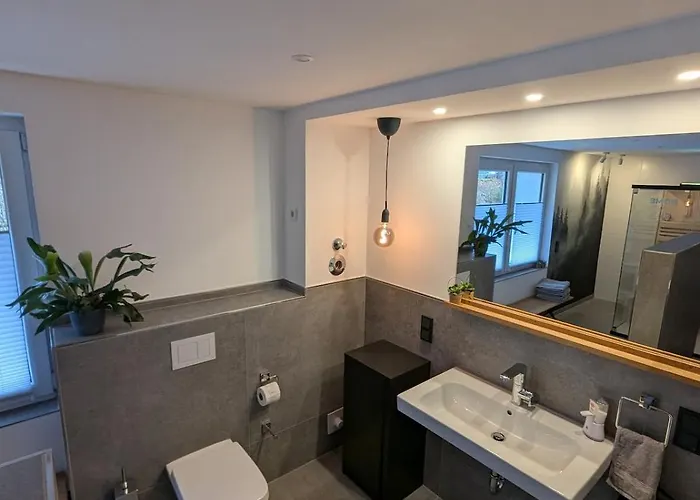 公寓 H1 Mit Sauna 8 Personen 4 Schlafzimmer 温特贝格